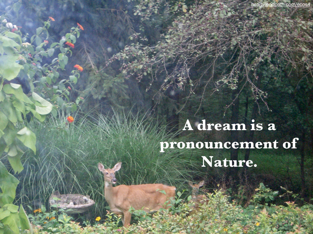 Picture deer quote A dream is a pronouncement of Nature