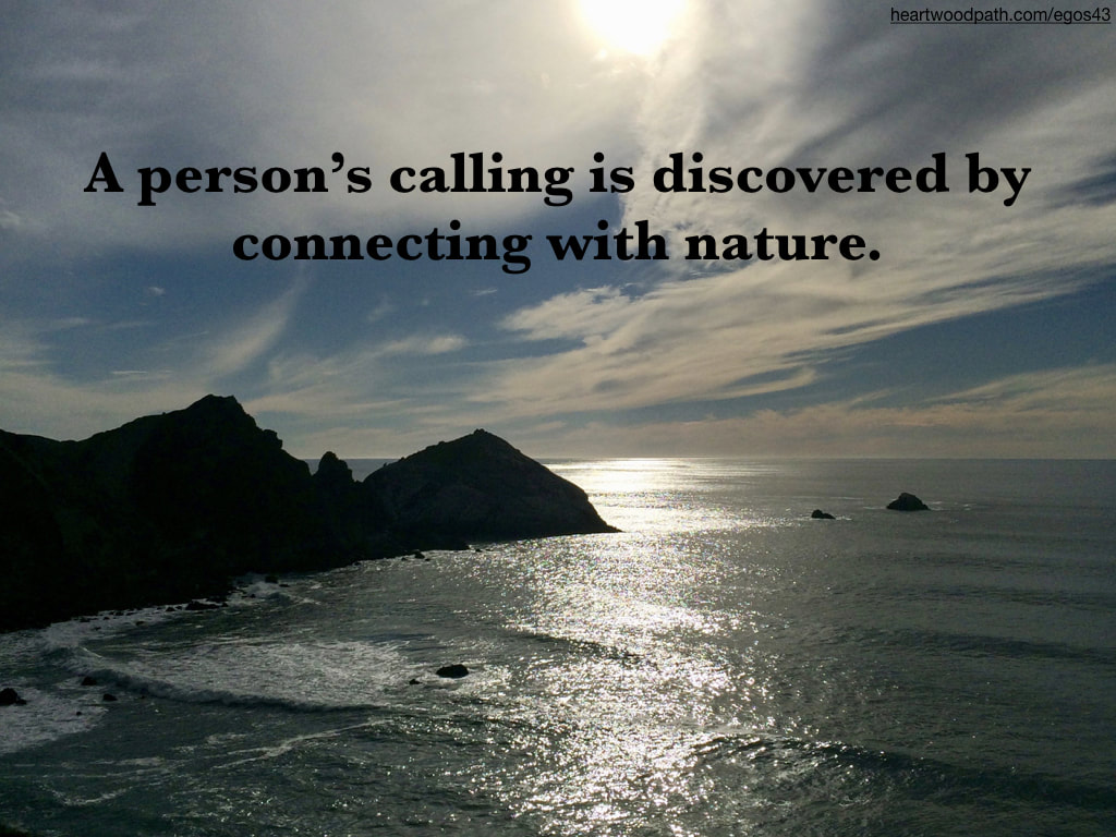 Picture sunshine on ocean quote A person’s calling is discovered by connecting with nature