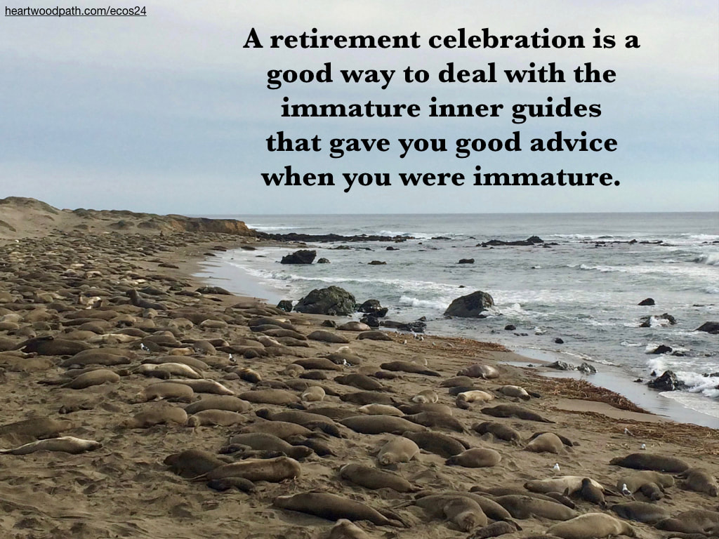 Picture elephant seals beach quote A retirement celebration is a good way to deal with the immature inner guides that gave you good advice when you were immature
