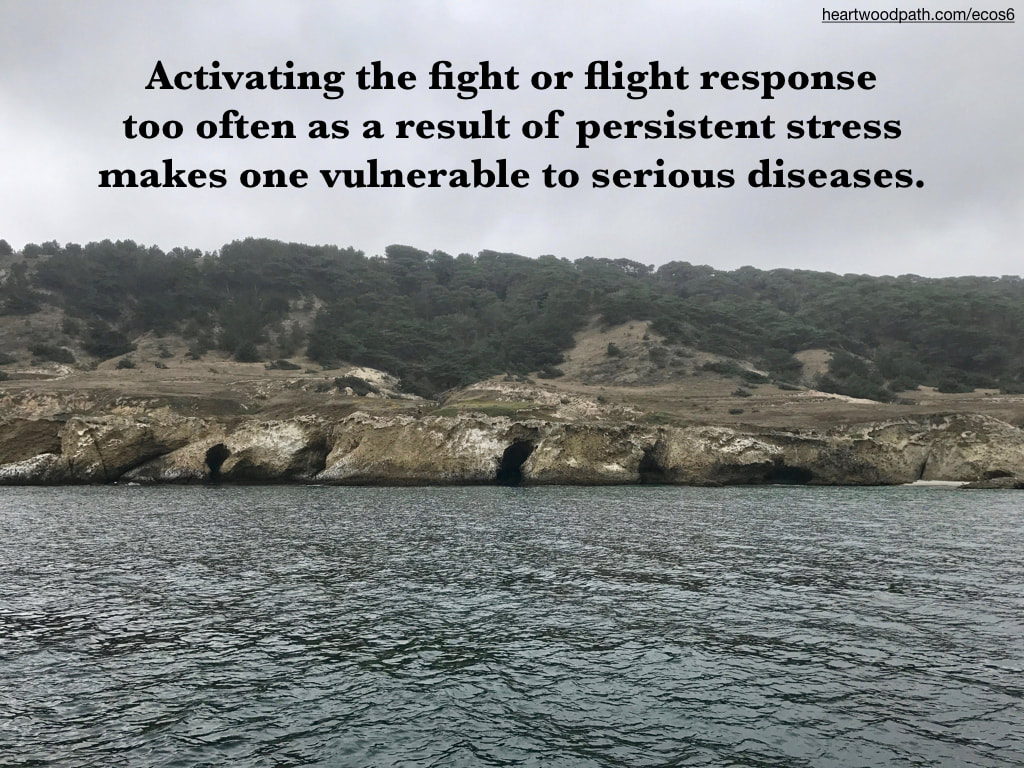 Picture sea caves torrey pines quote Activating the fight or flight response too often as a result of persistent stress makes one vulnerable to serious diseases.