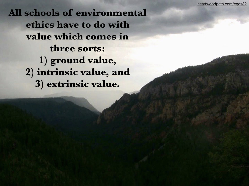 Picture foggy mountain valley quote All schools of environmental ethics have to do with value which comes in three sorts 1) ground value, 2) intrinsic value, and 3) extrinsic value