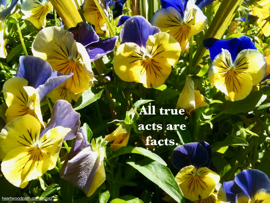 Picture purple yellow flowers quote All true acts are facts