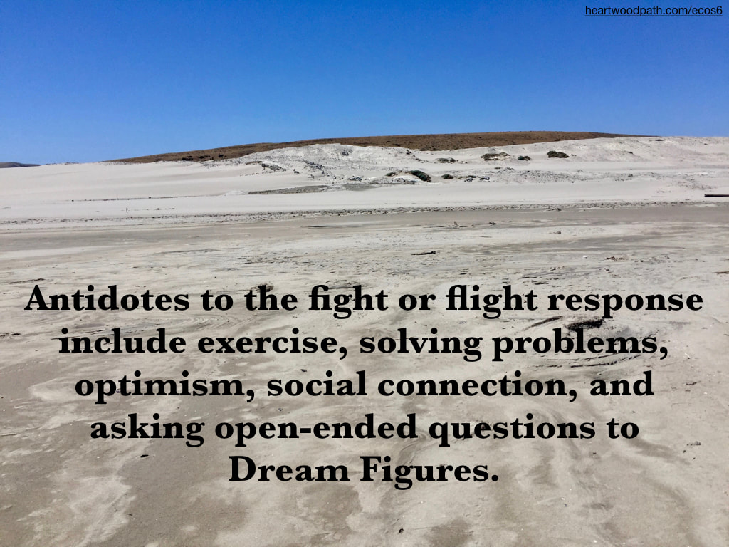 Picture sand dunes quote Antidotes to the fight or flight response include exercise, solving problems, optimism, social connection, and asking open-ended questions to Dream Figures.