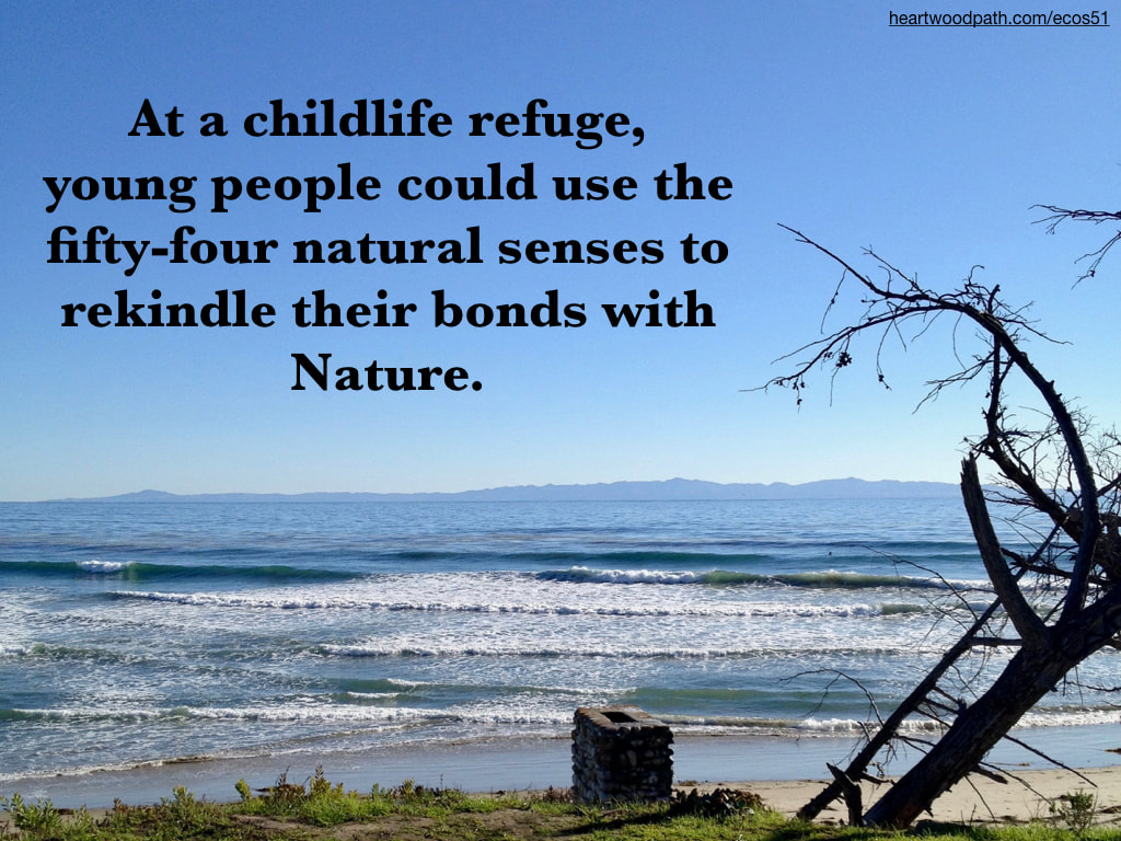 Picture small waves island view quote At a childlife refuge, young people could use the fifty-four natural senses to rekindle their bonds with Nature