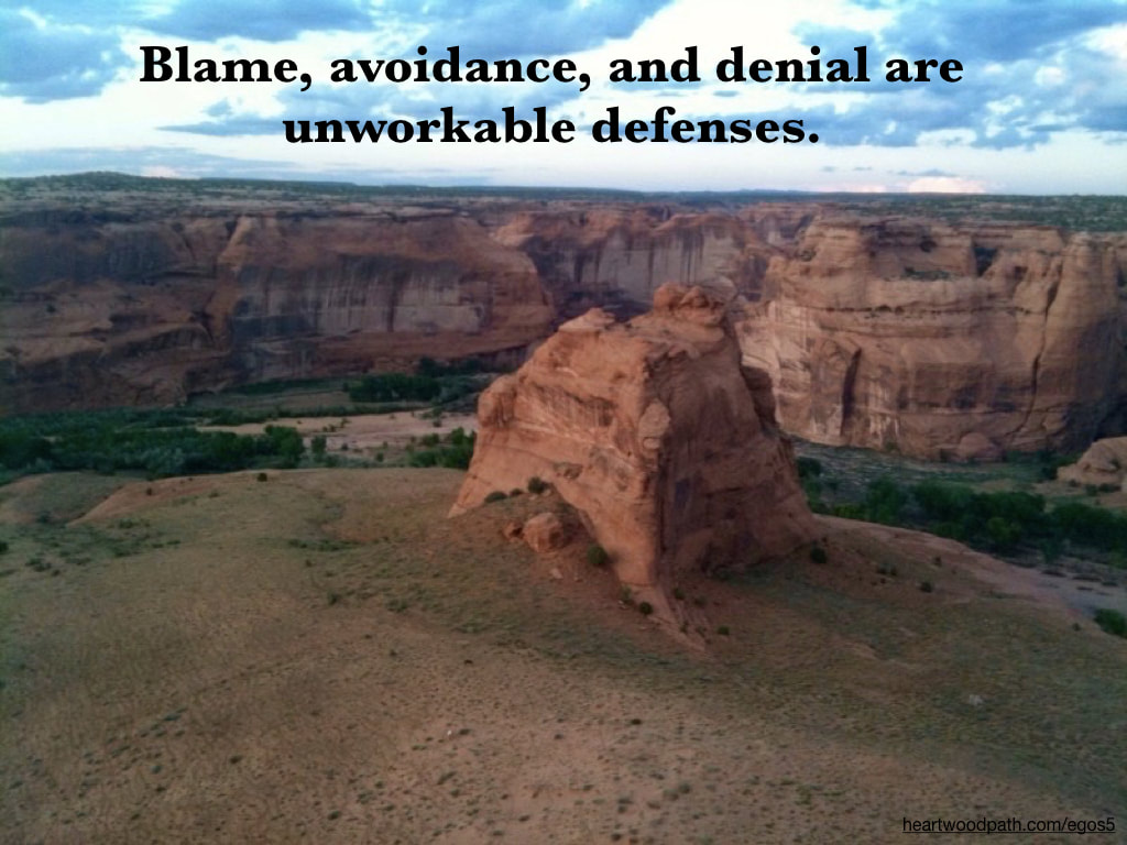 Picture canyon quote Blame, avoidance, and denial are unworkable defenses