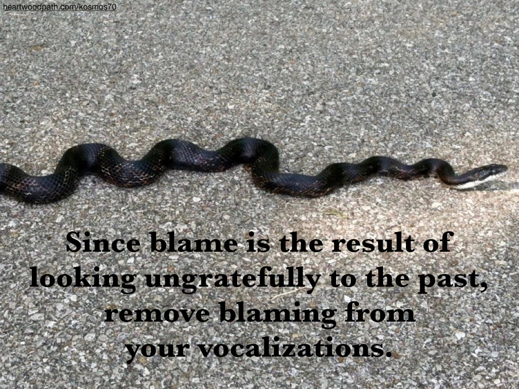 Picture black snake quote Since blame is the result of looking ungratefully to the past, remove blaming from your vocalizations.