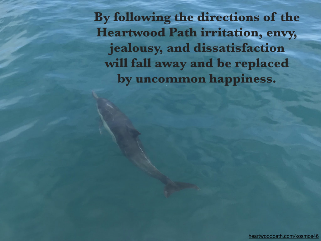 Picture dolphin with words By following the directions of the Heartwood Path irritation, envy, jealousy, and dissatisfaction will fall away and be replaced by uncommon happiness