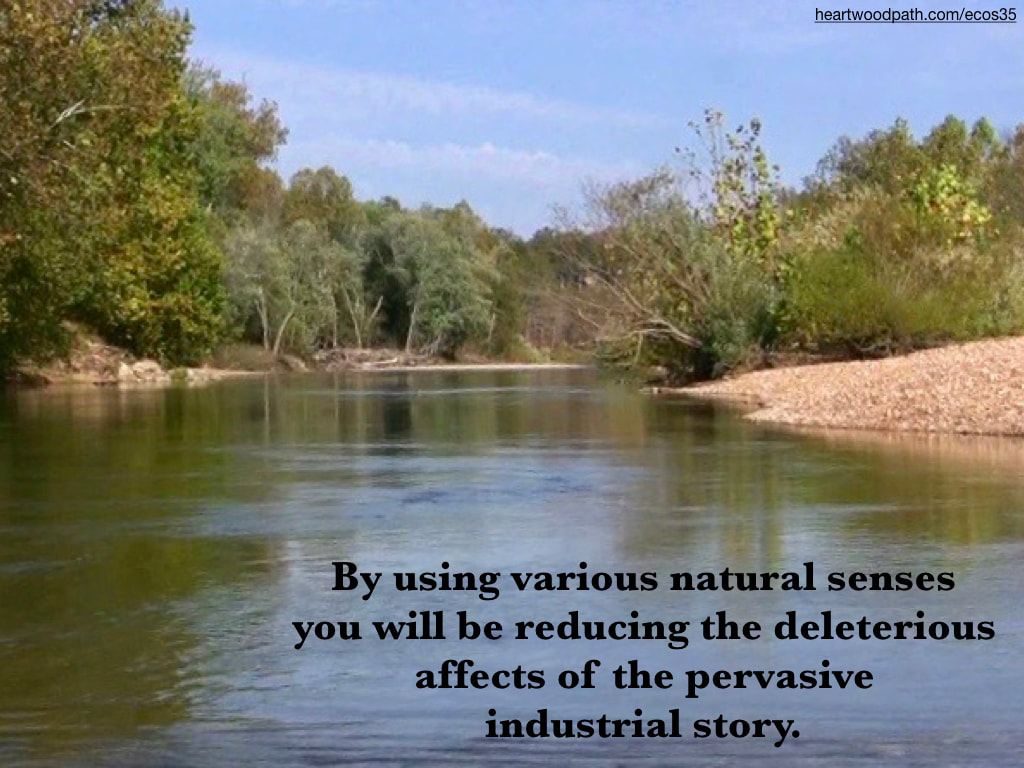 Picture river trees river bank quote By using various natural senses you will be reducing the deleterious affects of the pervasive industrial story