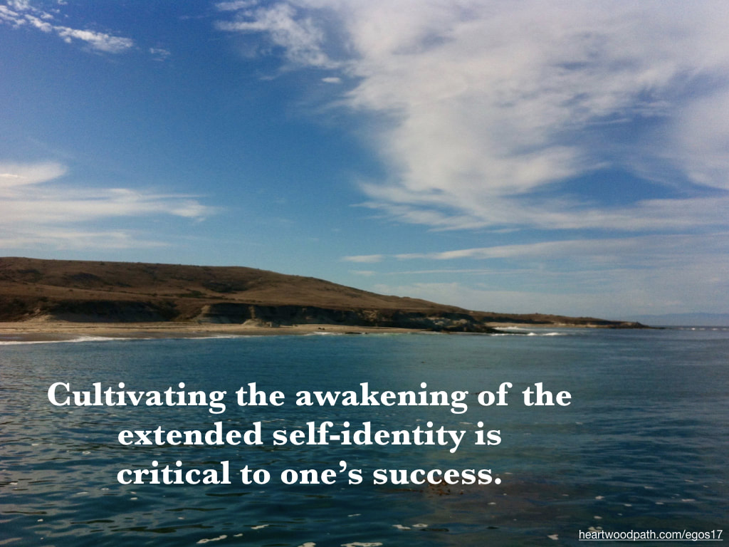 Picture island quote Cultivating the awakening of the extended self-identity is critical to one’s success