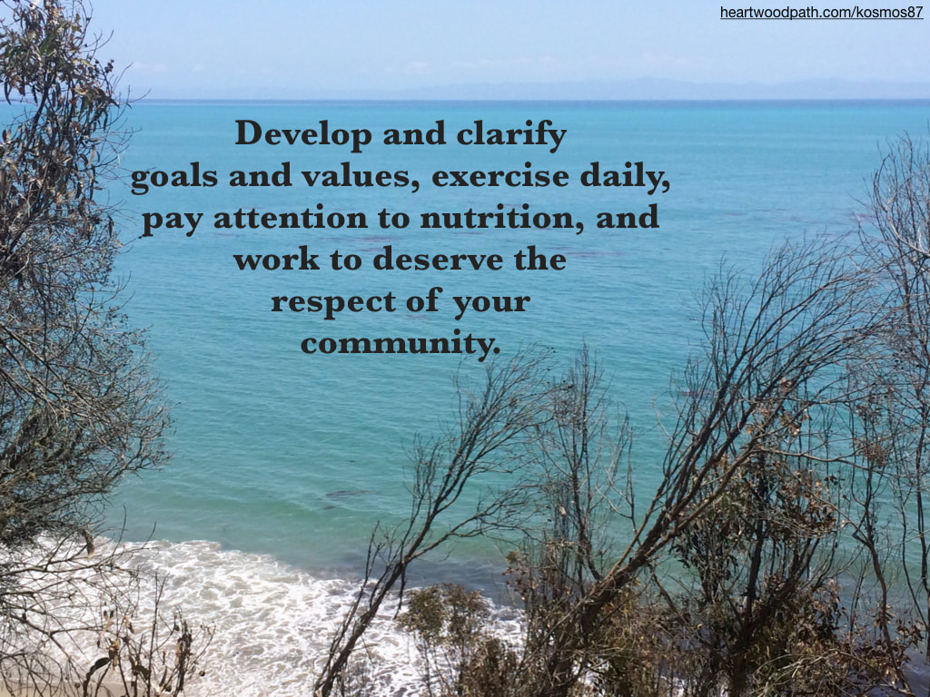 Picture ocean view trees island quote Develop and clarify goals and values, exercise daily, pay attention to nutrition, and work to deserve the respect of your community.