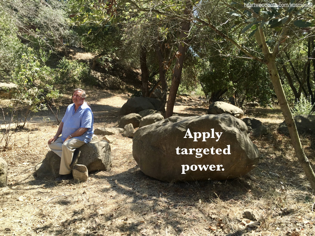picture-life-coach-don-pierce-saying-Apply targeted power