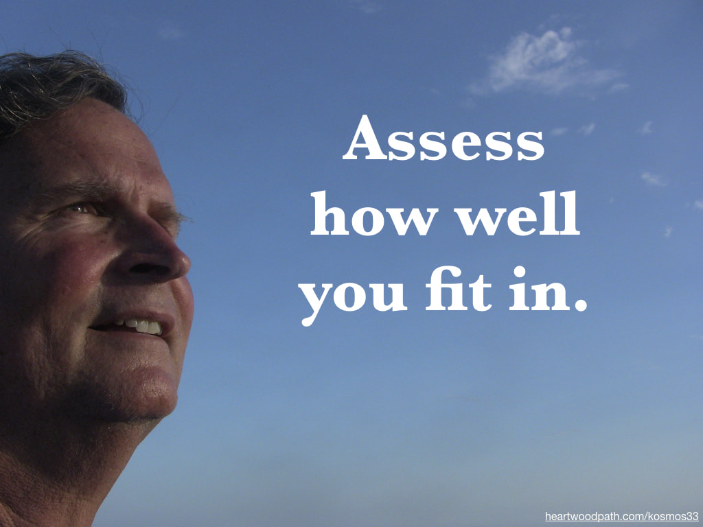 picture-of-life-coach-don-pierce-saying-Assess how well you fit in