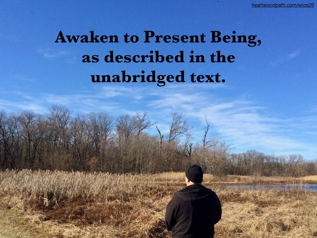 picture-don-pierce-life-coach-saying-Awaken to Present Being, as described in the unabridged text