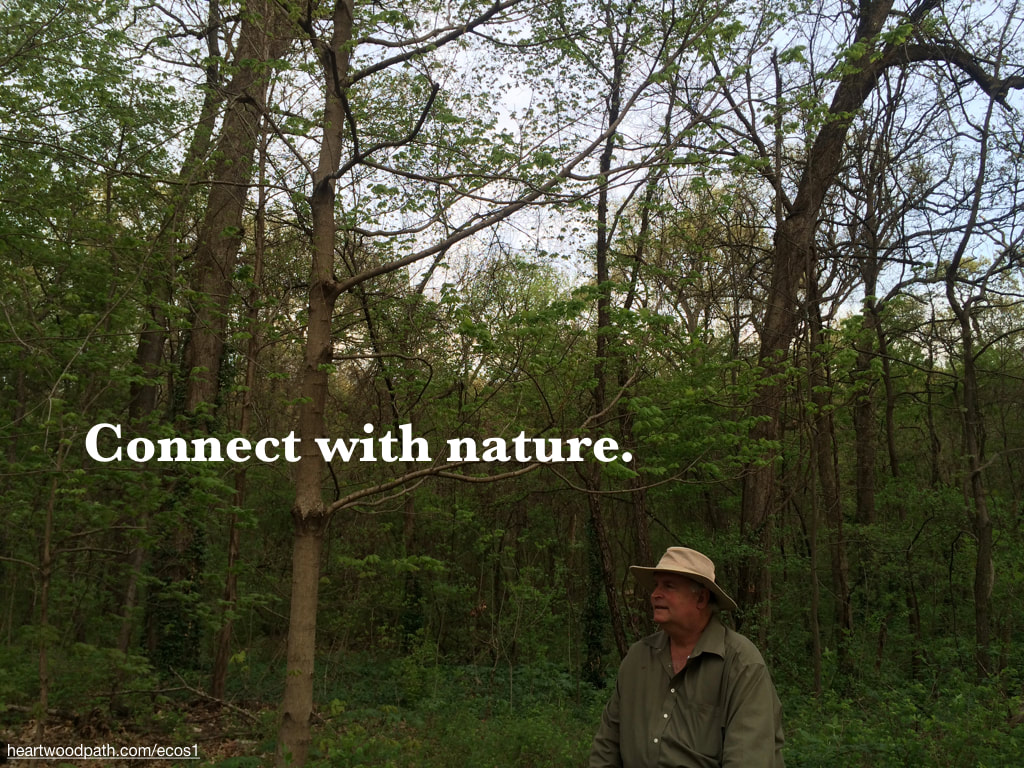 picture-don-pierce-life-coach-saying-Connect with nature