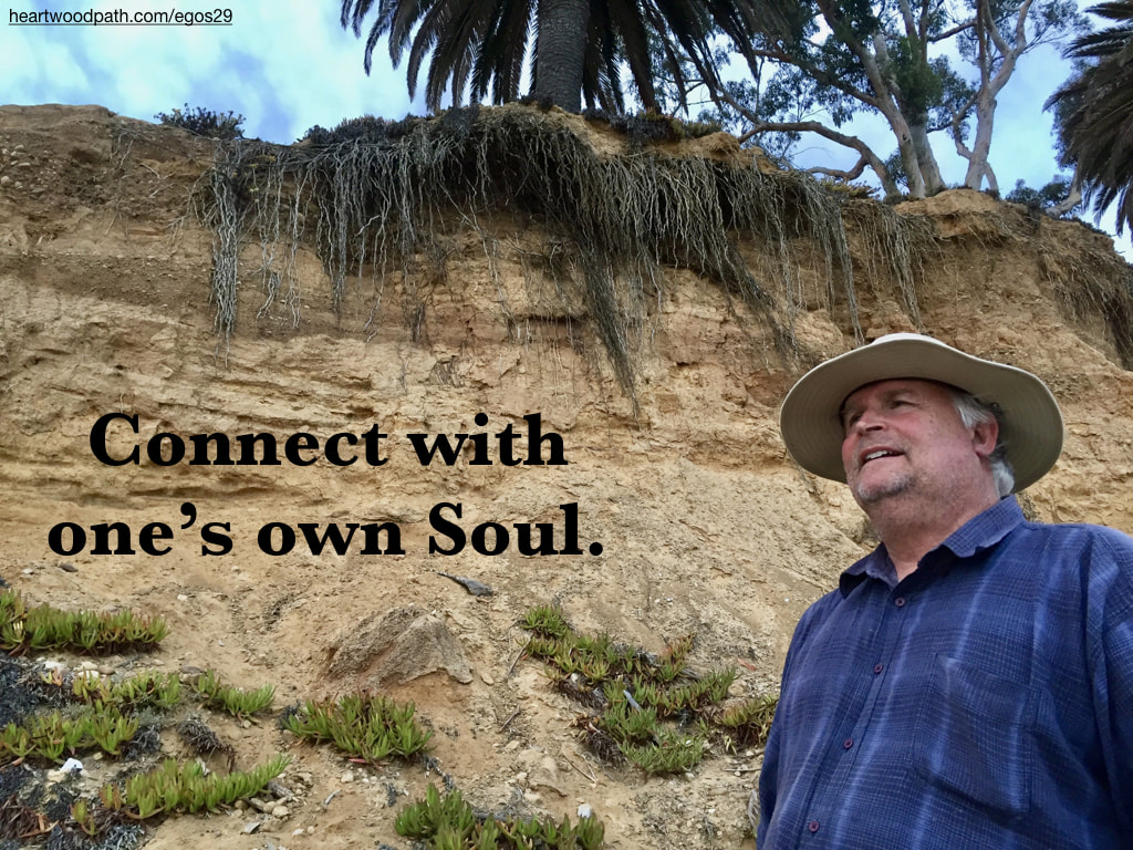 picture-life-coach-don-pierce-saying-Connect with one’s own Soul