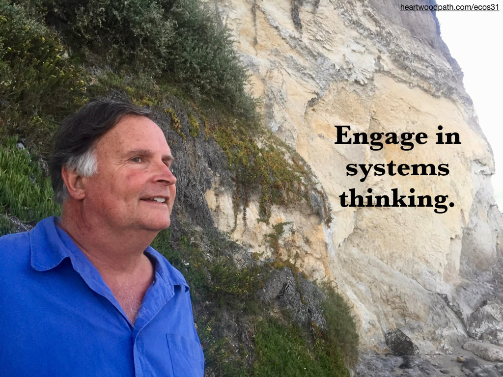 picture-don-pierce-life-coach-saying-Engage in systems thinking