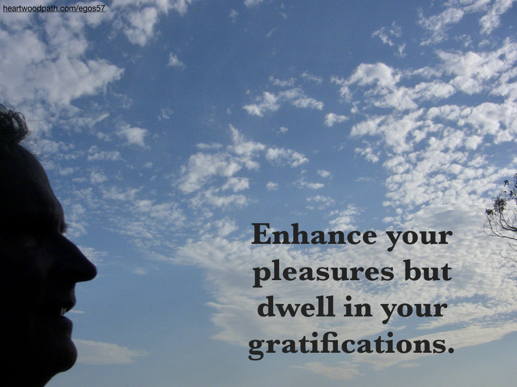 picture-don-pierce-life-coach-saying-Enhance your pleasures but dwell in your gratifications