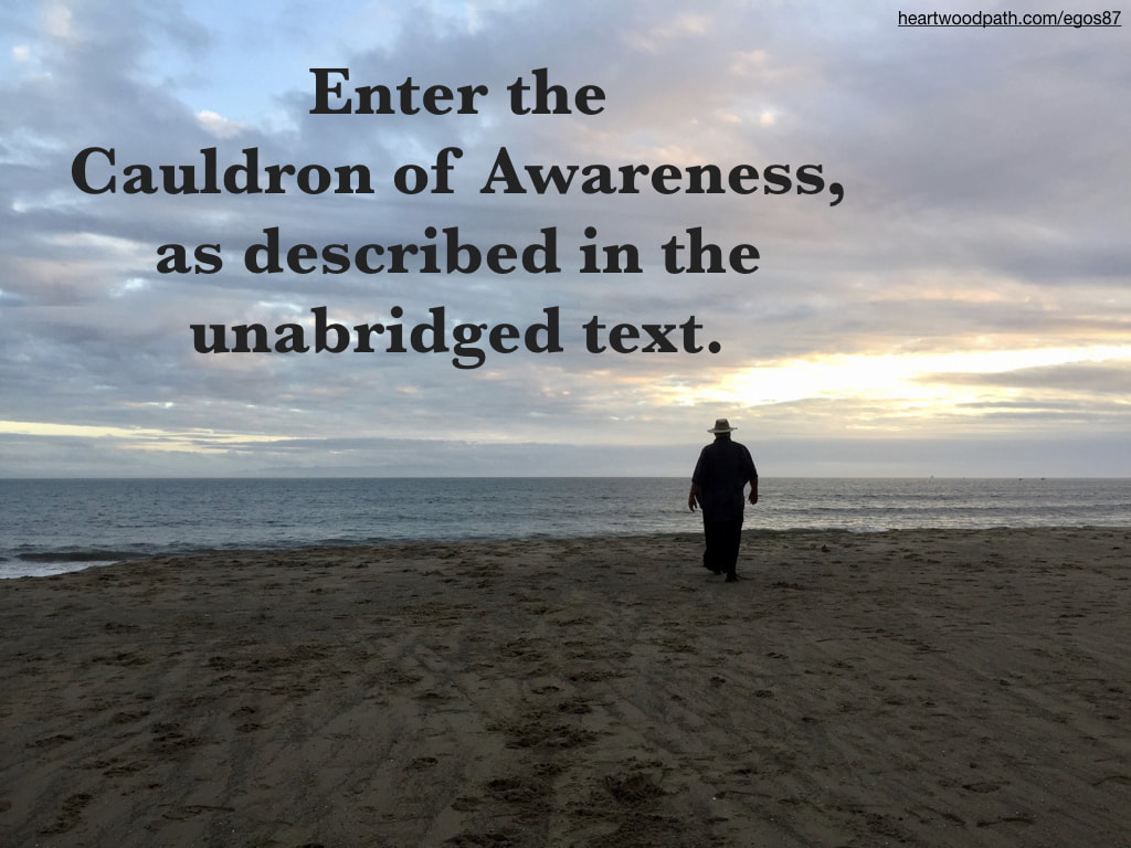 picture-don-pierce-life-coach-saying-Enter the Cauldron of Awareness