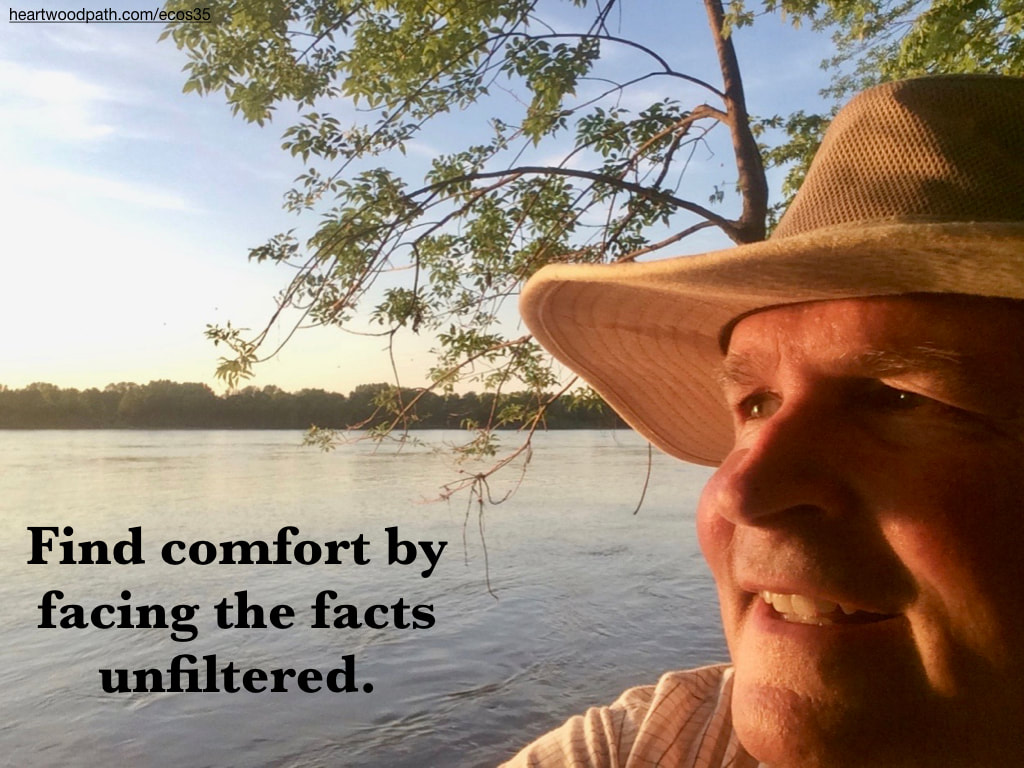 picture-don-pierce-life-coach-saying-Find comfort by facing the facts unfiltered.