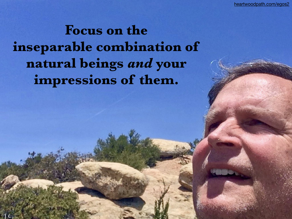 picture-life-coach-don-pierce-saying-Focus on the inseparable combination of natural beings and your impressions of them