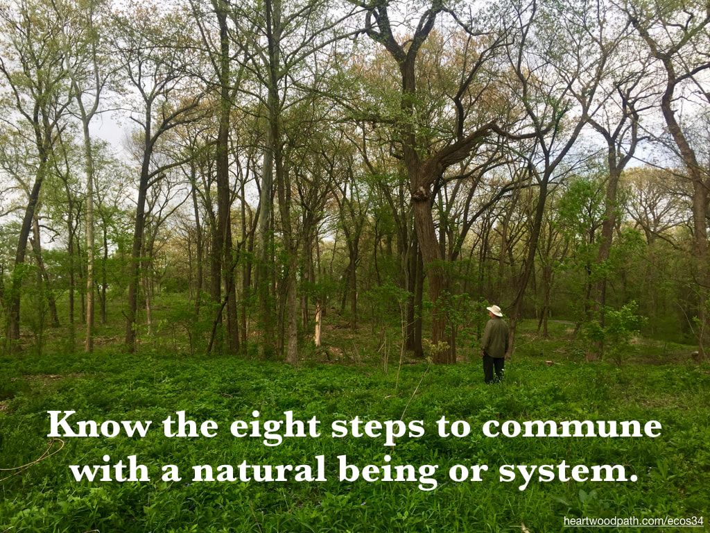 picture-don-pierce-life-coach-saying-Know the eight steps to commune with a natural being or system. 
