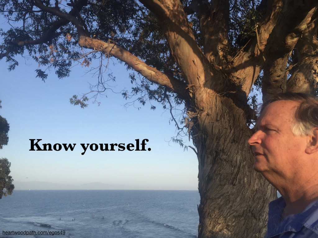 picture-life-coach-don-pierce-saying-Know yourself