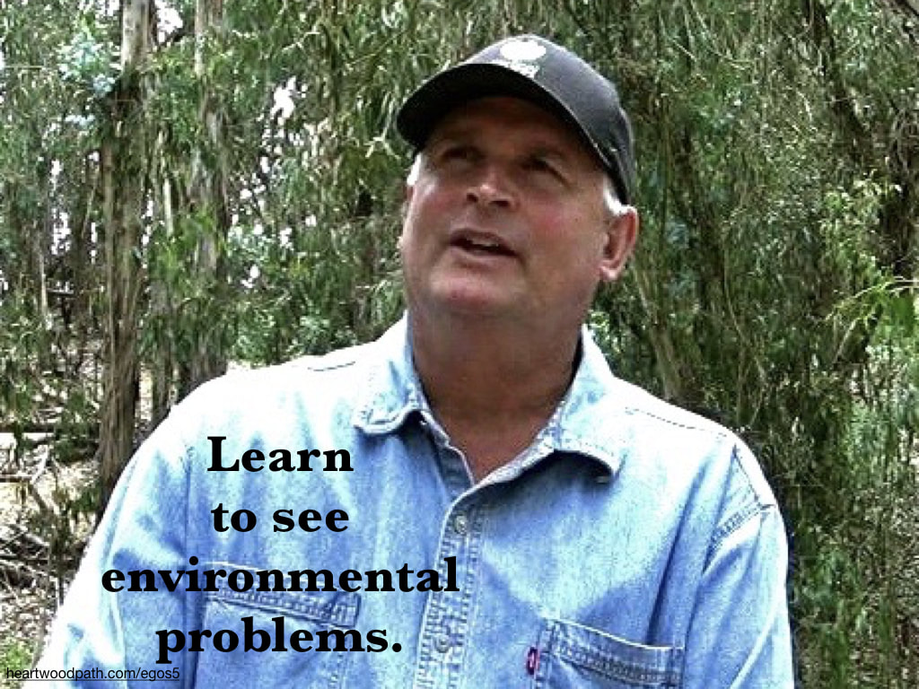picture-life-coach-don-pierce-saying-Learn to see environmental problems