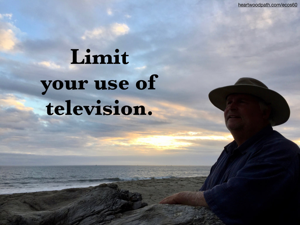 picture-don-pierce-life-coach-saying-Limit your use of television