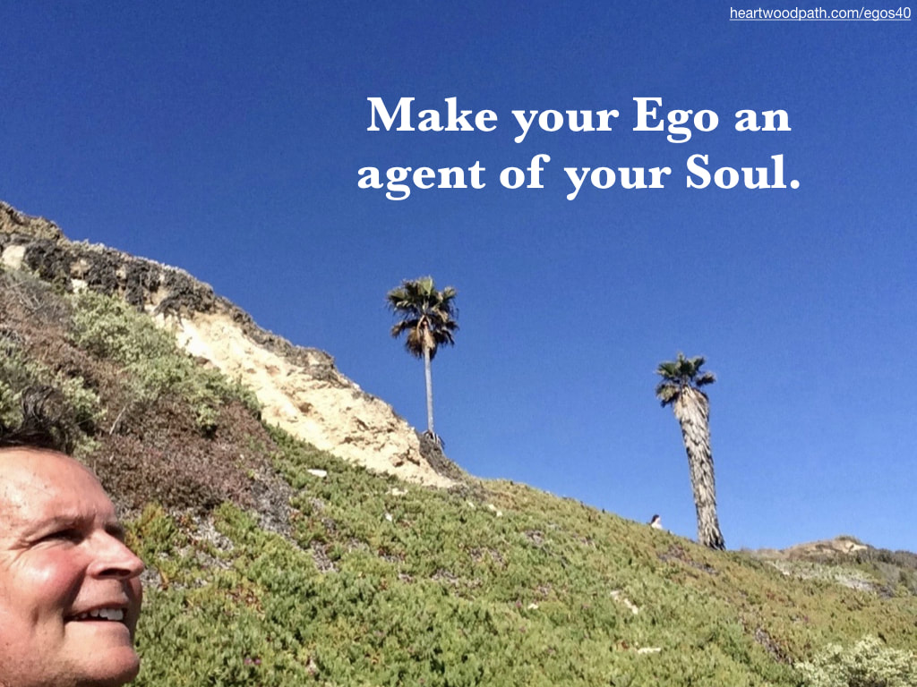 picture-life-coach-don-pierce-saying-Make your Ego an agent of your Soul