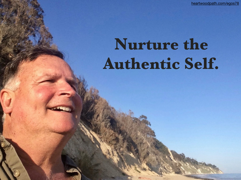 picture-don-pierce-life-coach-saying-Nurture the Authentic Self.
