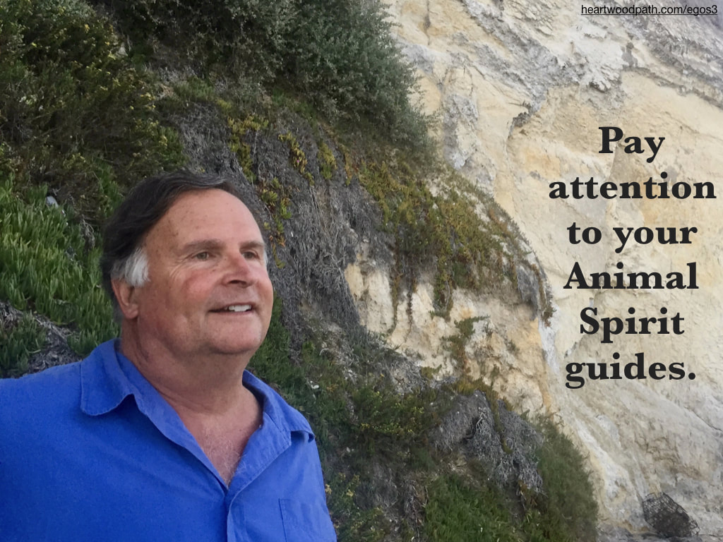 picture-life-coach-don-pierce-saying-Pay attention to your Animal Spirit guides