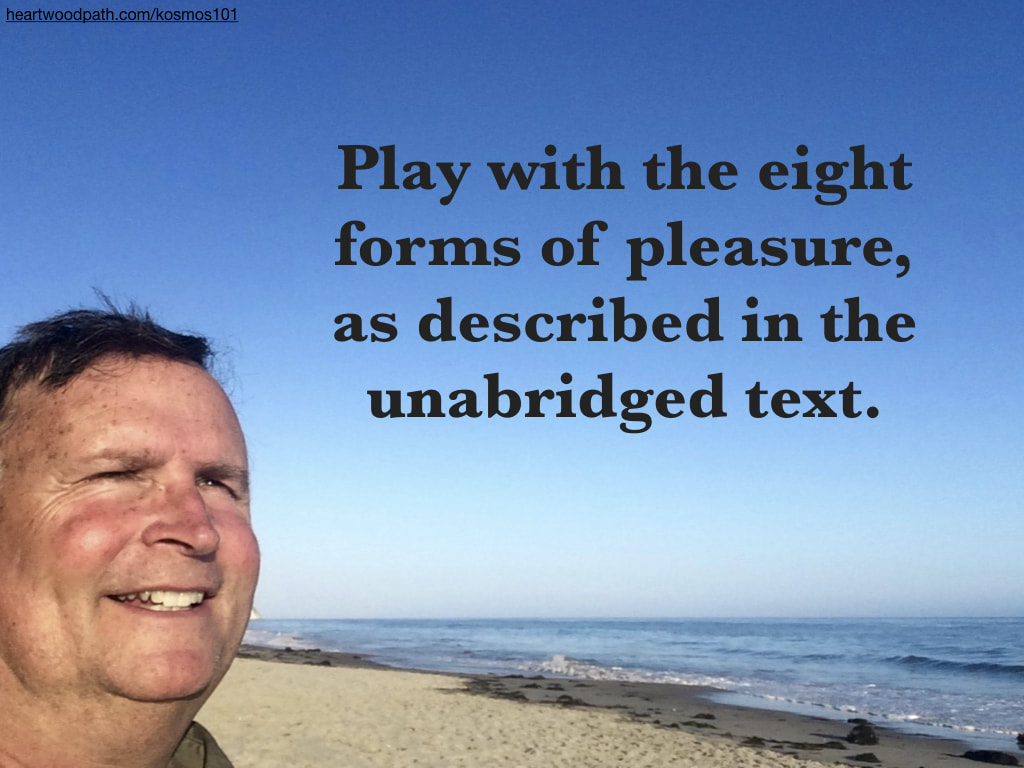 picture-life-coach-don-pierce-saying-Play with the eight forms of pleasure, as described in the unabridged text