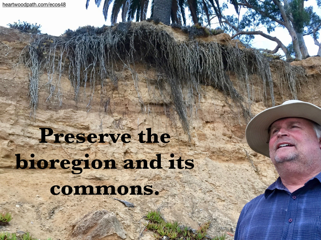 picture-don-pierce-life-coach-saying-Preserve the bioregion and its commons