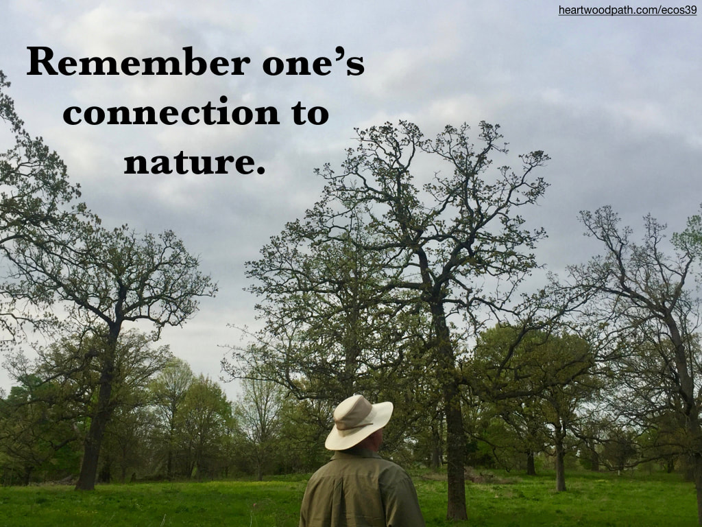 picture-don-pierce-life-coach-saying-Remember one’s connection to nature