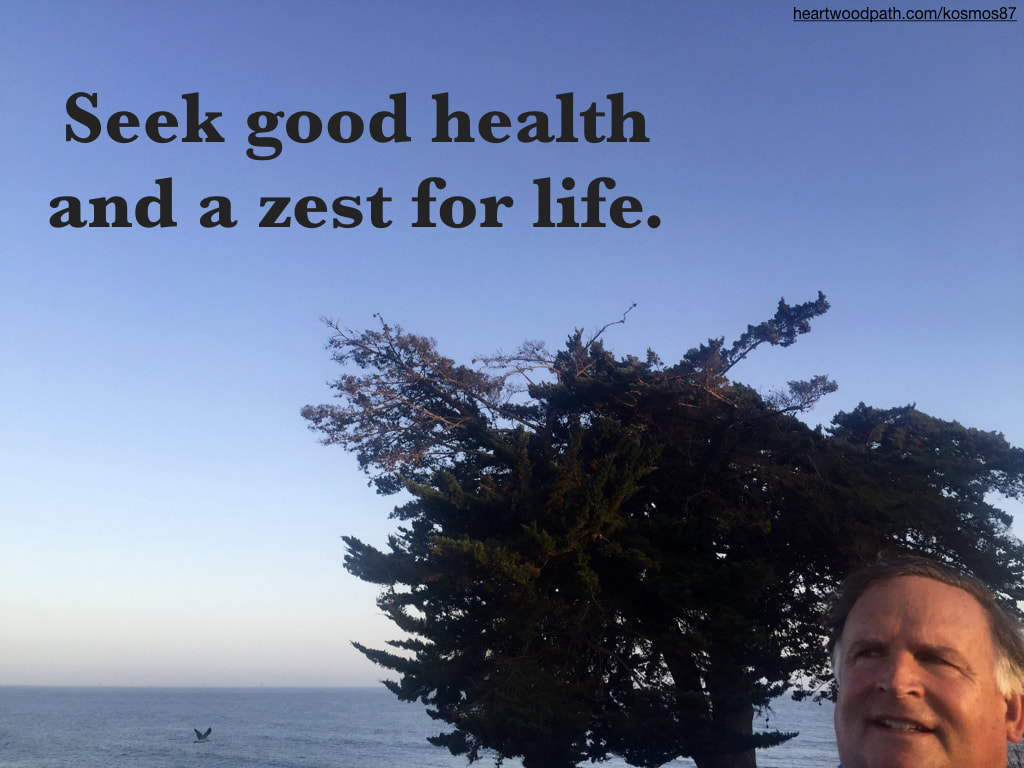 picture-life-coach-don-pierce-saying-Seek good health and a zest for life