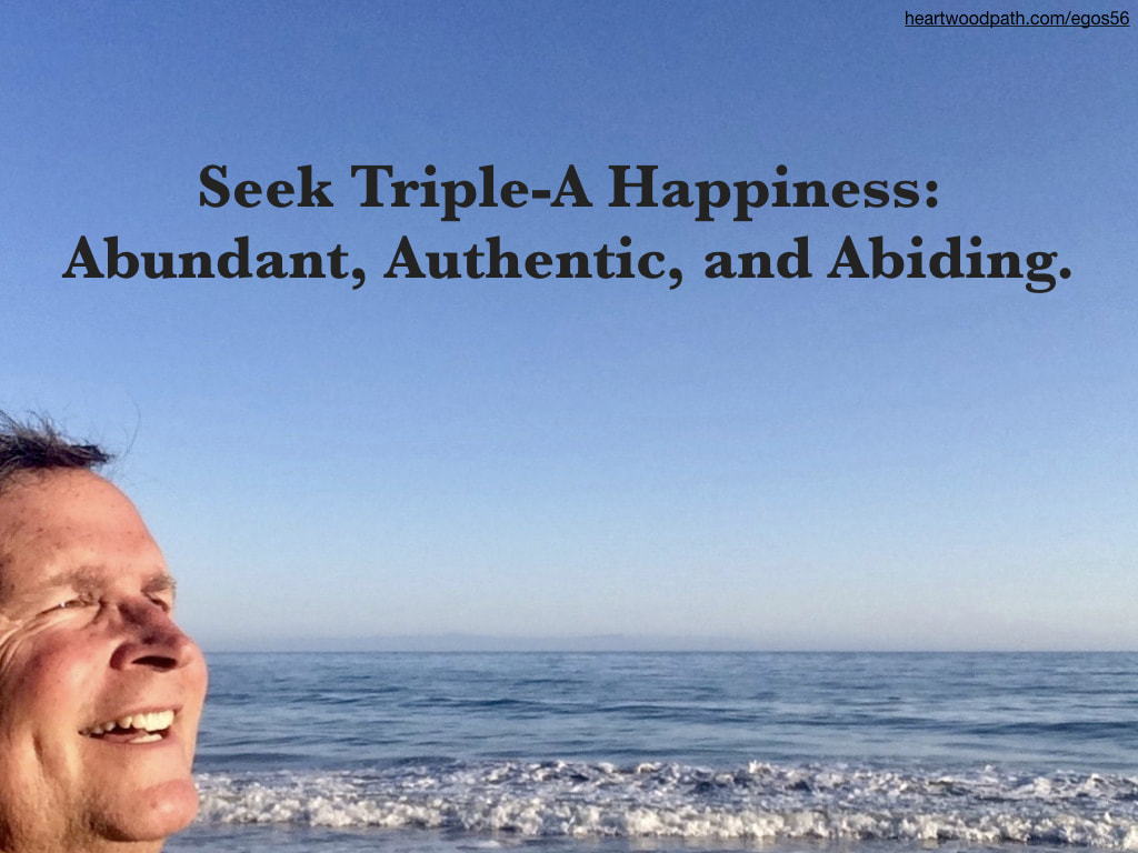 picture-don-pierce-life-coach-saying-Seek Triple-A Happiness: Abundant, Authentic, and Abiding