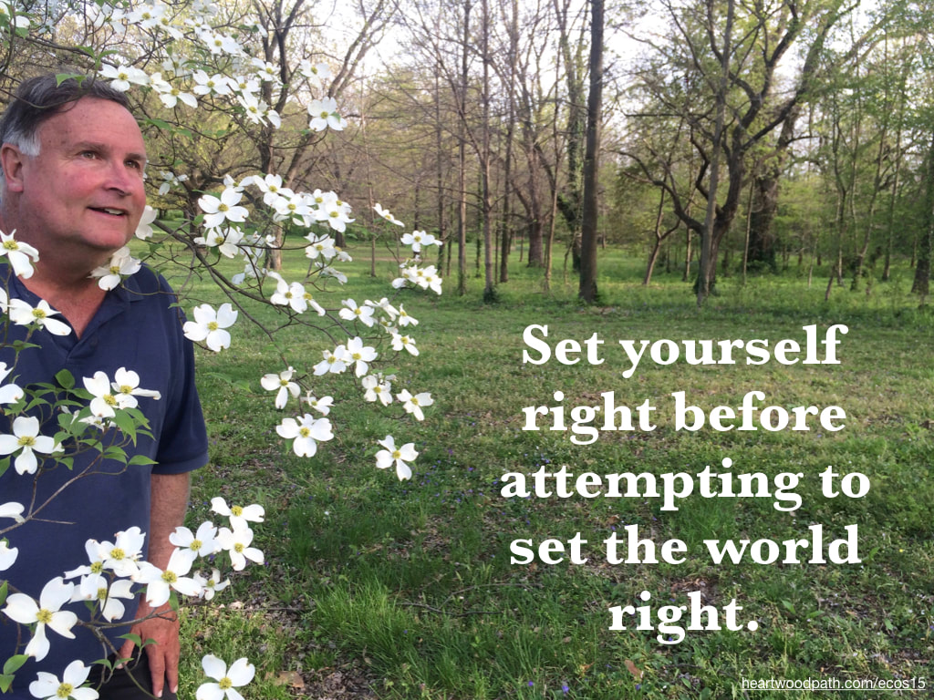 picture-don-pierce-life-coach-saying-Set yourself right before attempting to set the world right.