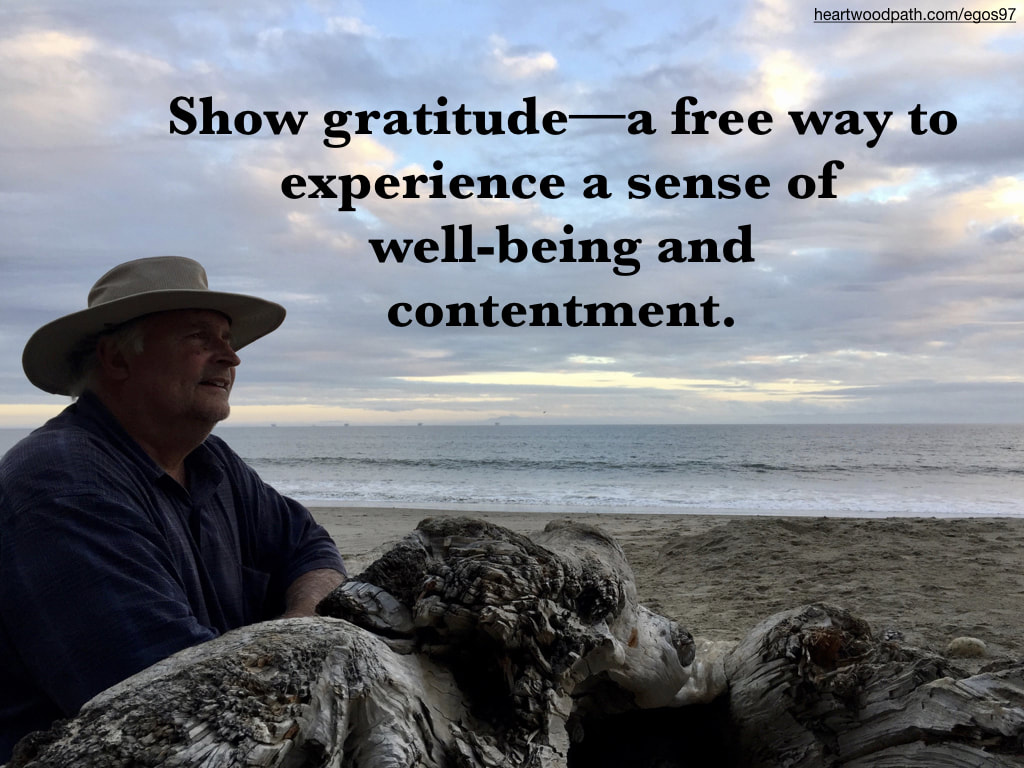 picture-don-pierce-life-coach-saying-Show gratitude––a free way to experience a sense of well-being and contentment