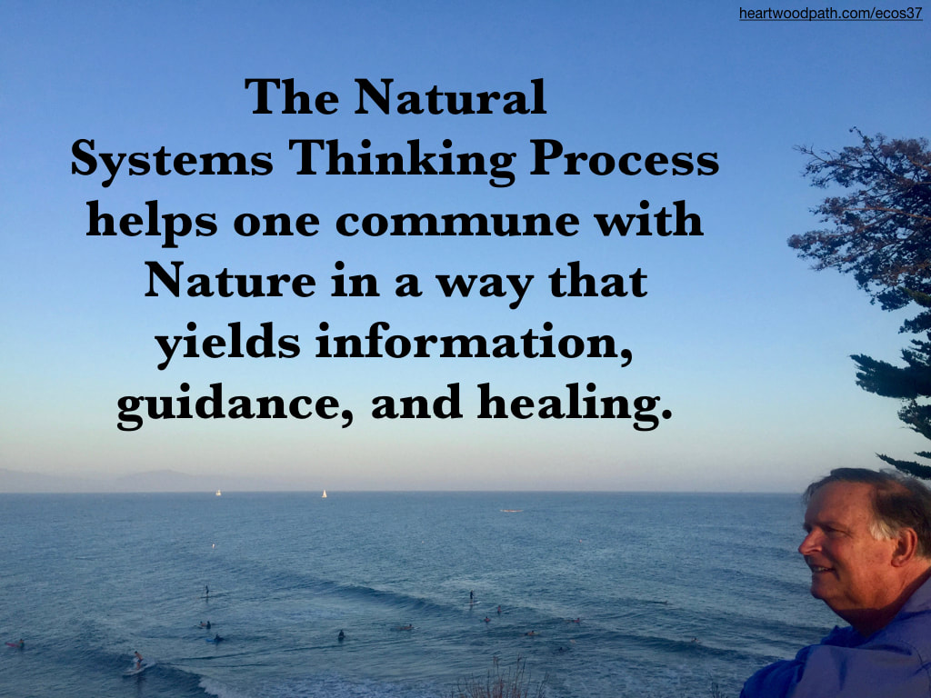picture-don-pierce-life-coach-saying-The Natural Systems Thinking Process helps one commune with Nature in a way that yields information, guidance, and healing