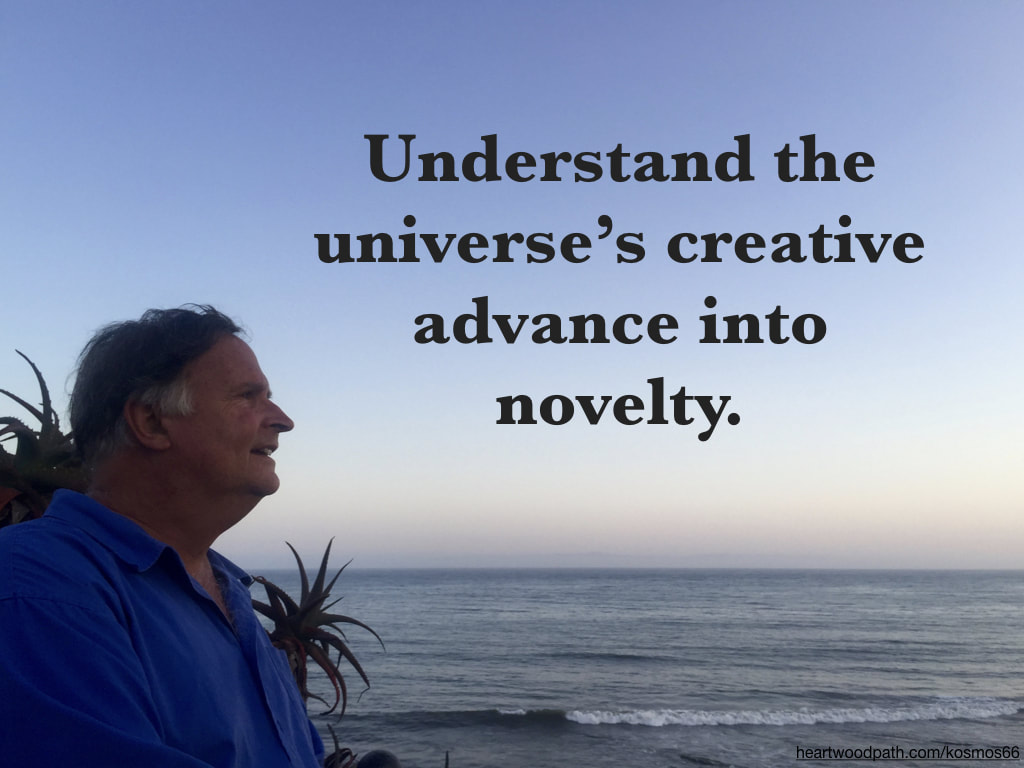 picture-of-life-coach-don-pierce-saying-Understand the universe’s creative advance into novelty