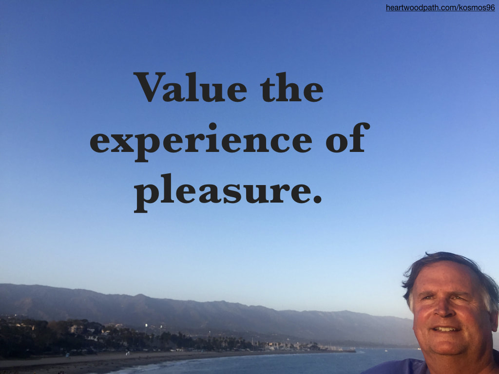picture-life-coach-don-pierce-saying-Value the experience of pleasure