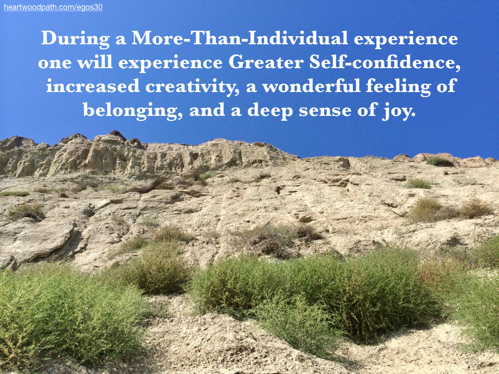 Picture green shrubs tan rocks blue sky quote During a More-Than-Individual experience one will experience Greater Self-confidence, increased creativity, a wonderful feeling of belonging, and a deep sense of joy.