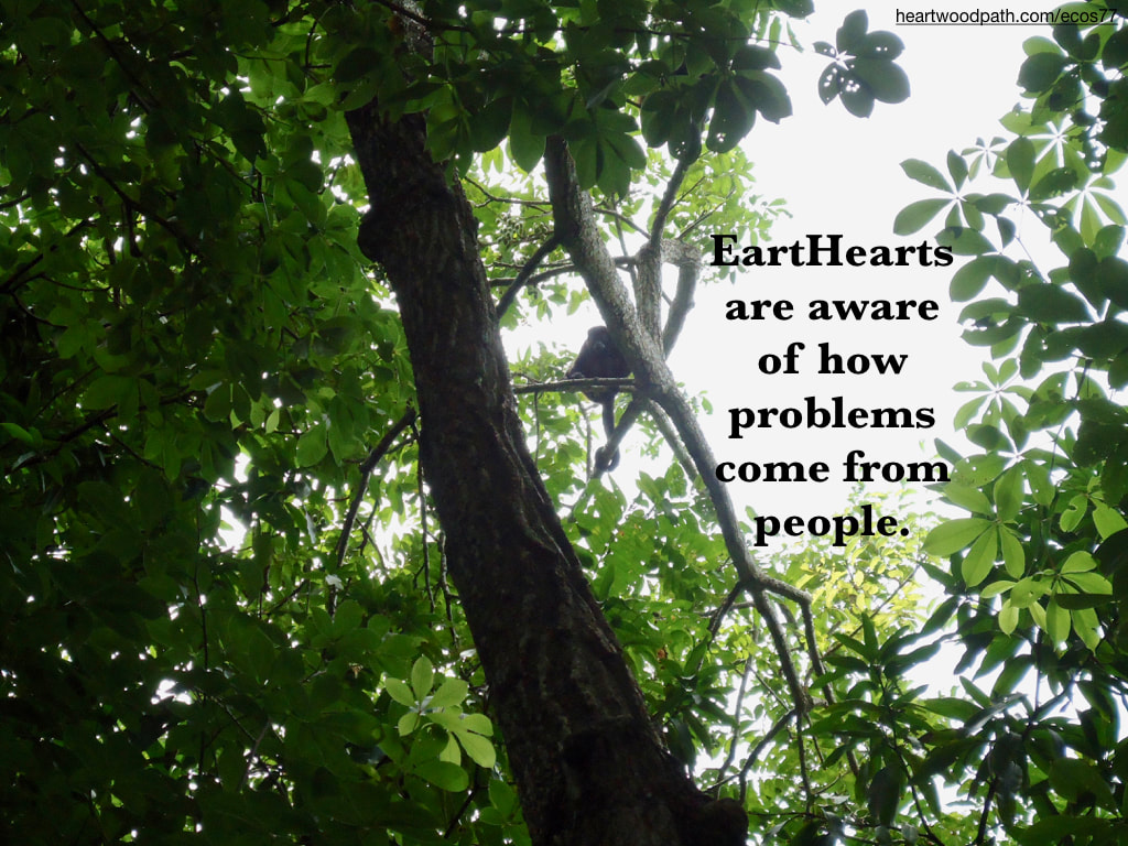 Picture money tree quote EartHearts are aware of how problems come from people