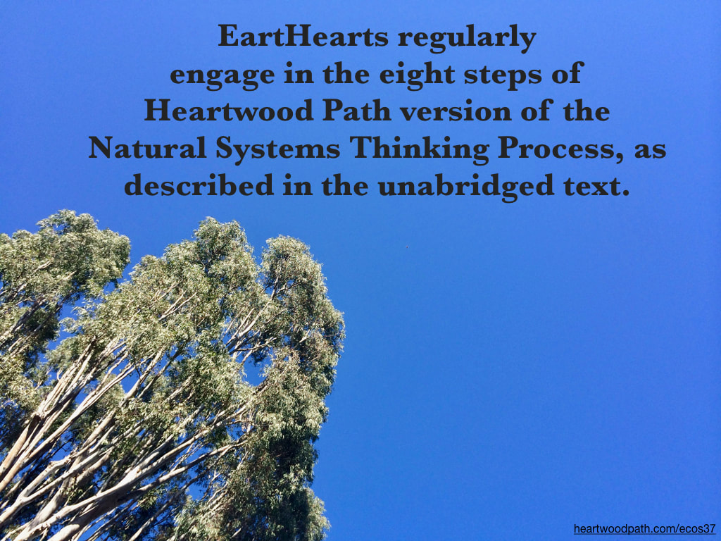 Picture eucalyptus tree quote EartHearts regularly engage in the eight steps of Heartwood Path version of the Natural Systems Thinking Process, as described in the unabridged text