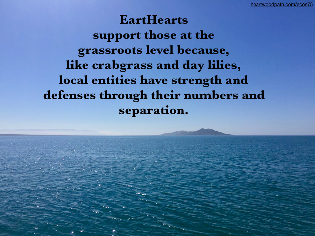 Picture ocean ripples quote EartHearts support those at the grassroots level because, like crabgrass and day lilies, local entities have strength and defenses through their numbers and separation