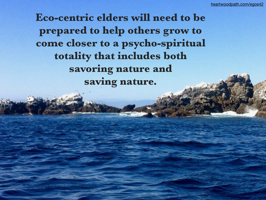 Picture sea birds on rock quote Eco-centric elders will need to be prepared to help others grow to come closer to a psycho-spiritual totality that includes both savoring nature and saving nature