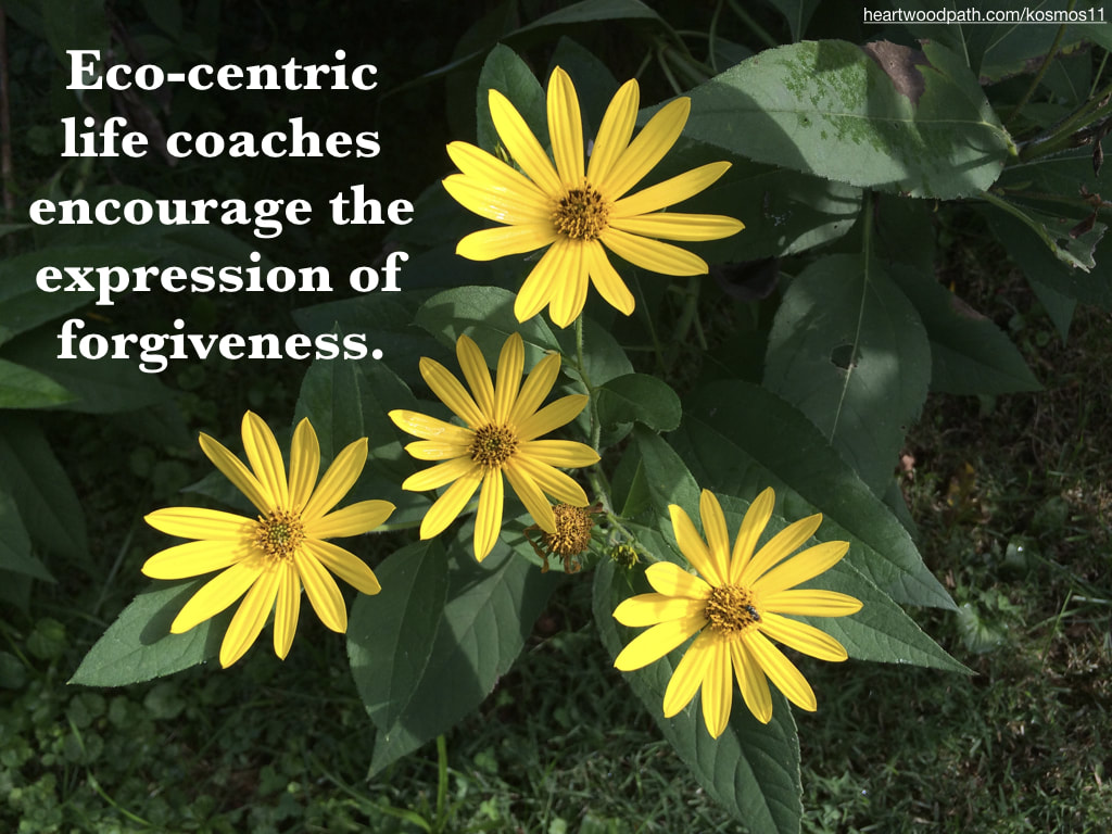 picture of flowers and quote Eco-centric life coaches encourage the expression of forgiveness