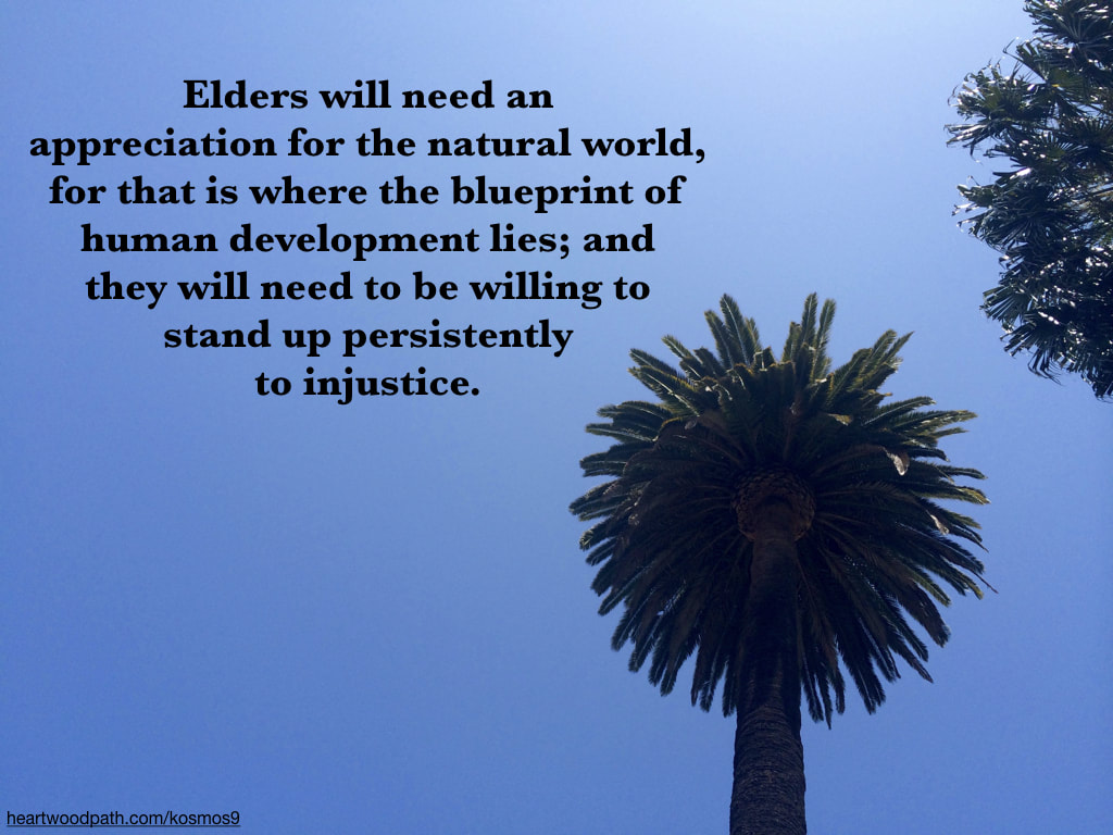 picture of palm trees and quote Elders will need an appreciation for the natural world, for that is where the blueprint of human development lies; and they will need to be willing to stand up persistently to injustice