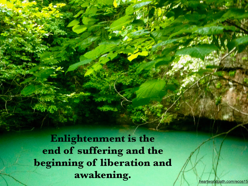 Picture green leaves clear spring quote Enlightenment is the end of suffering and the beginning of liberation and awakening
