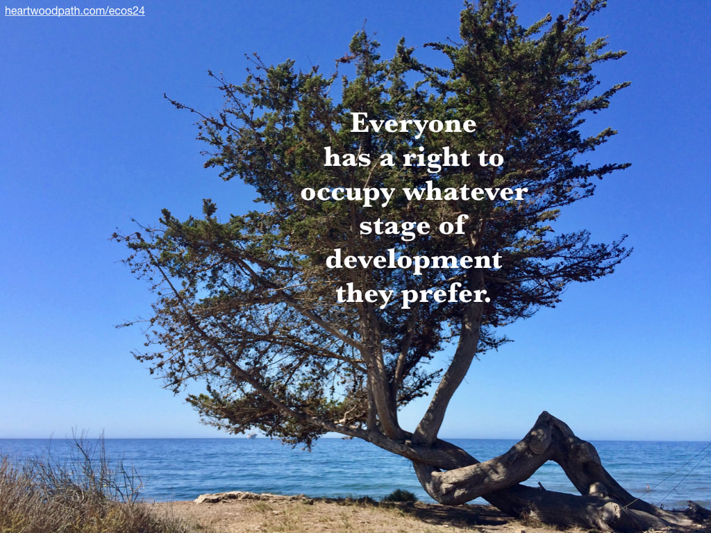 Picture tree on beach cliff ocean quote Everyone has a right to occupy whatever stage of development they prefer